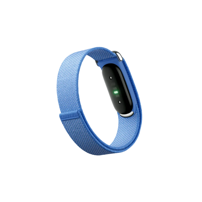 Google Fitbit Air Classic "Lavender"