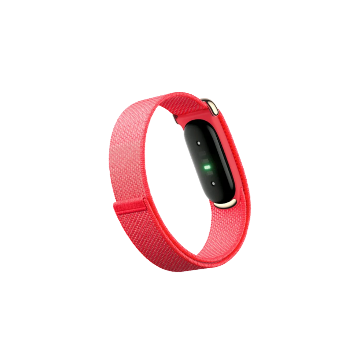 Google Fitbit Air Classic "Berry"