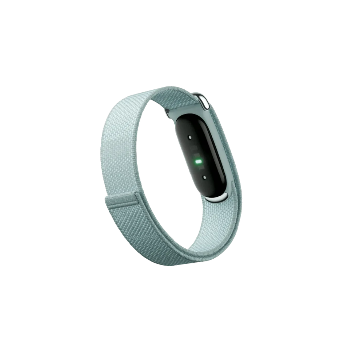 Google Fitbit Air Classic "Fog"