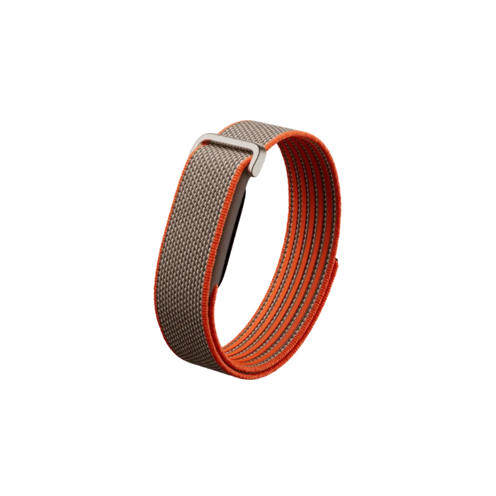 Google Fitbit Air Classic Special Edition Stephen Curry "Rye"