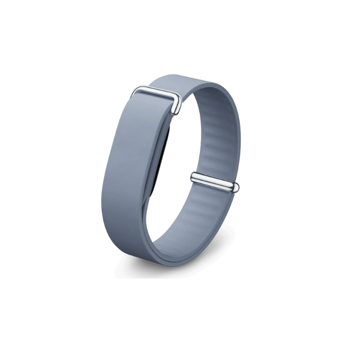 Google Fitbit Air Elevated Modern Band Strap "Moonstone / Polished Silver Stainless Steel Clasp" (Strap Only)