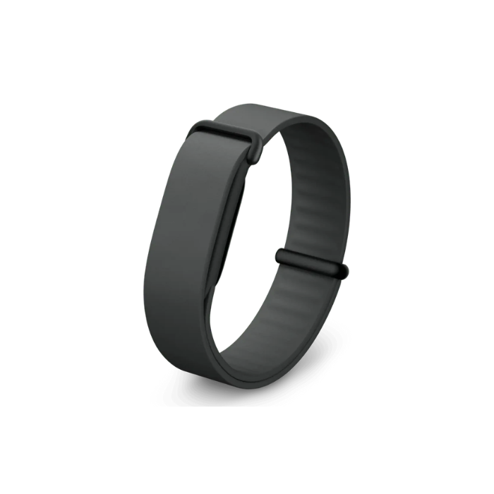 Google Fitbit Air Elevated Modern Band Strap "Obsidian / Matte Black Stainless Steel Clasp" (Strap Only)