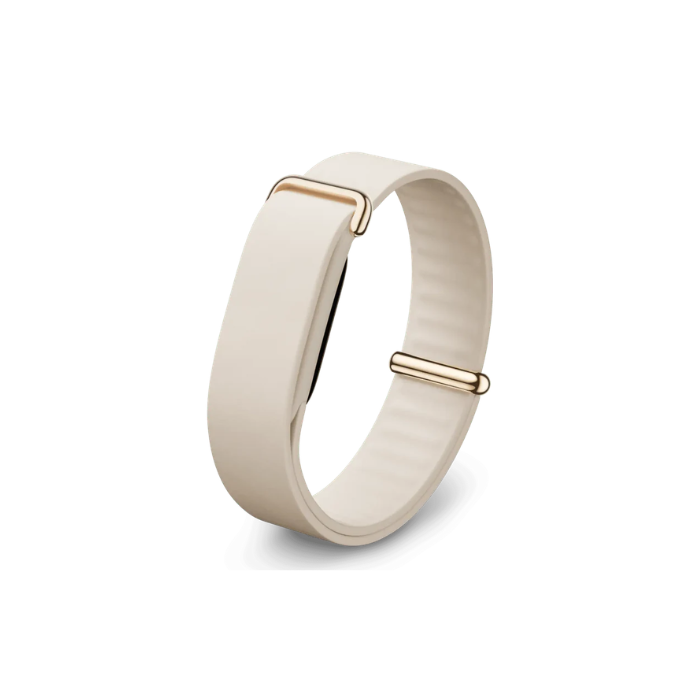 Google Fitbit Air Elevated Modern Band Strap "Porcelain / Polished Champagne Gold Stainless Steel Clasp" (Strap Only)