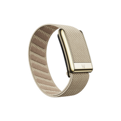 Superknit Luxe Dune with Gold
