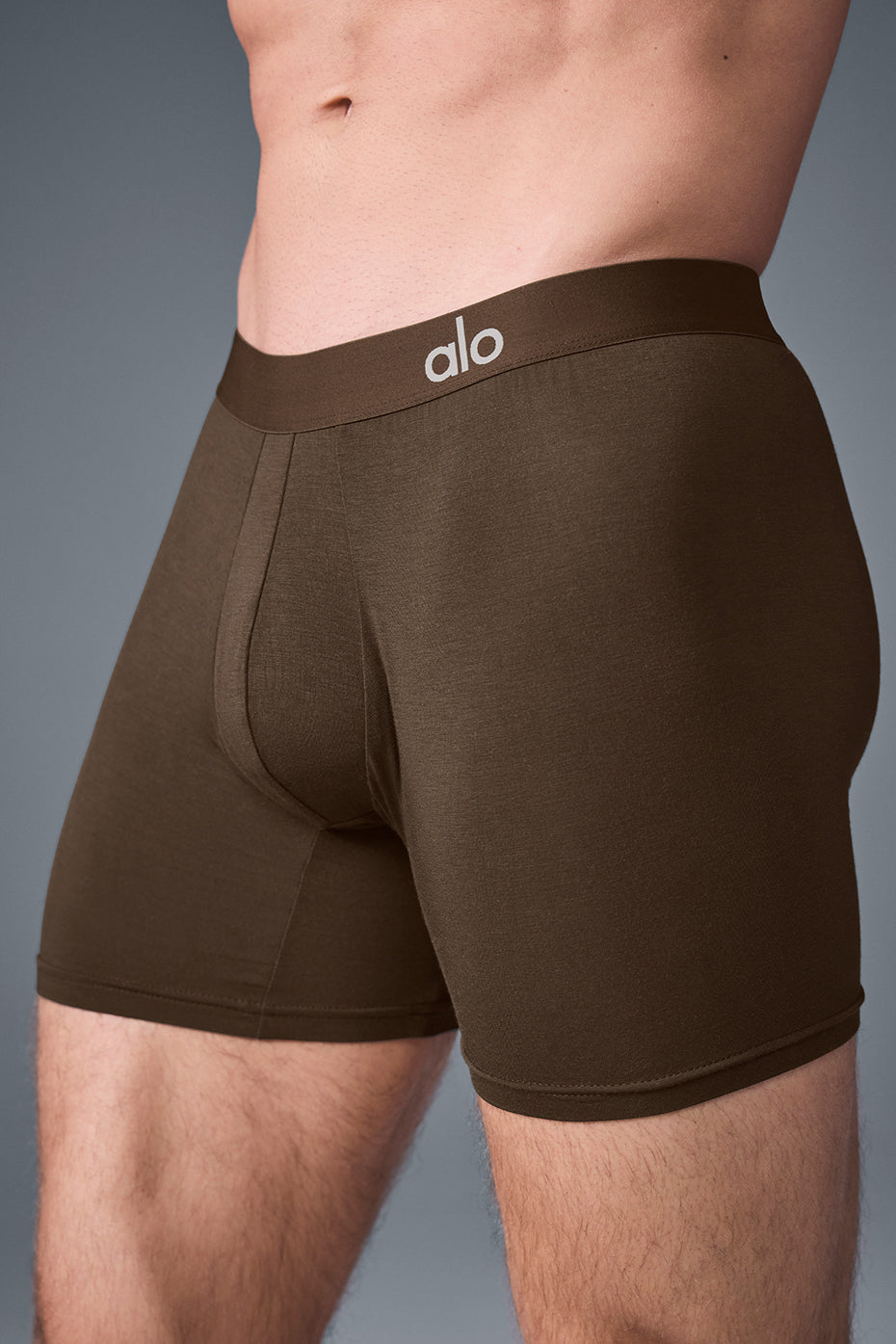 Alo Yoga Day and Night Boxer - Espresso