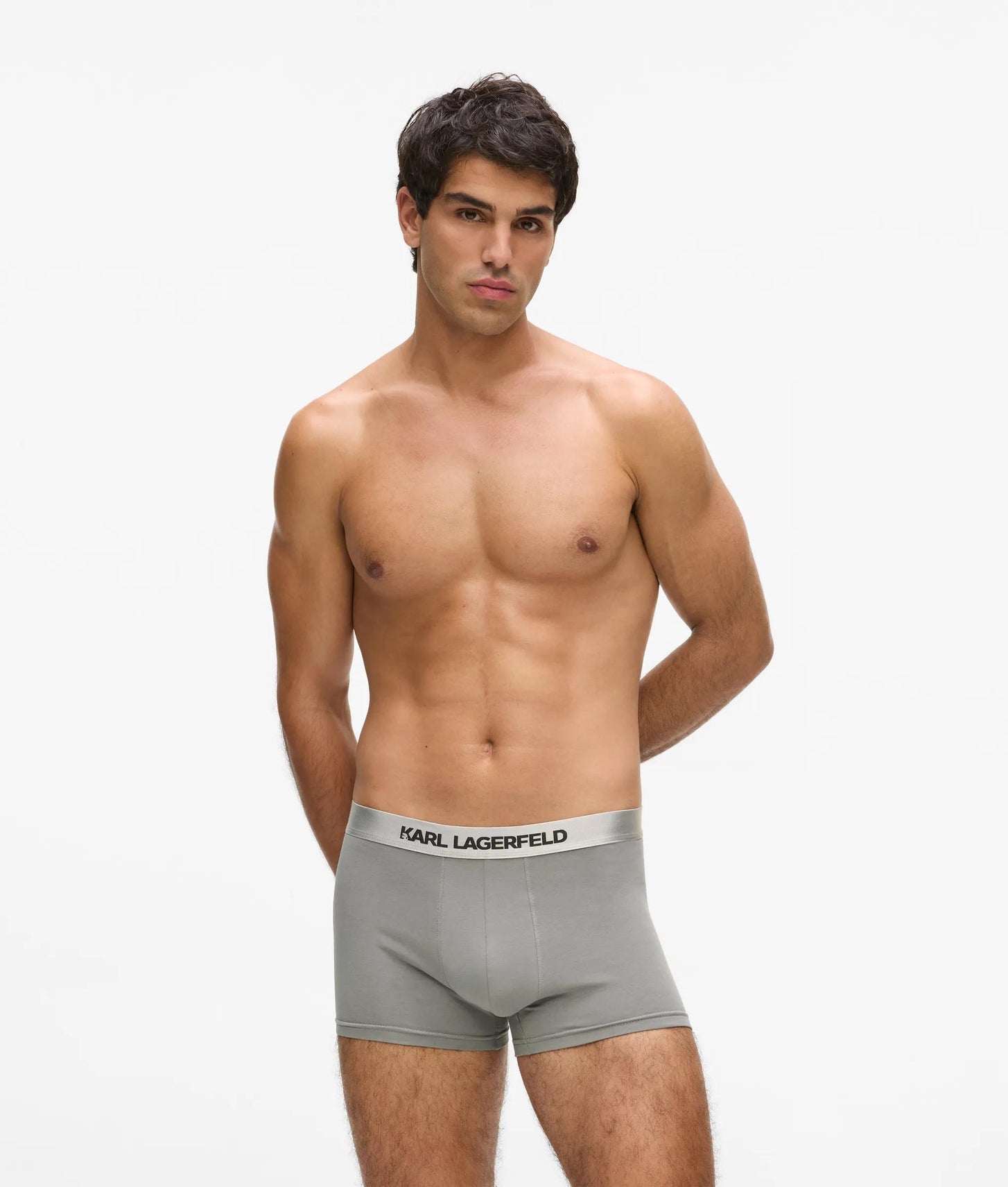 Karl Lagerfeld Metallic Logo Trunks – 3-Pack Forest-Black-Sedona