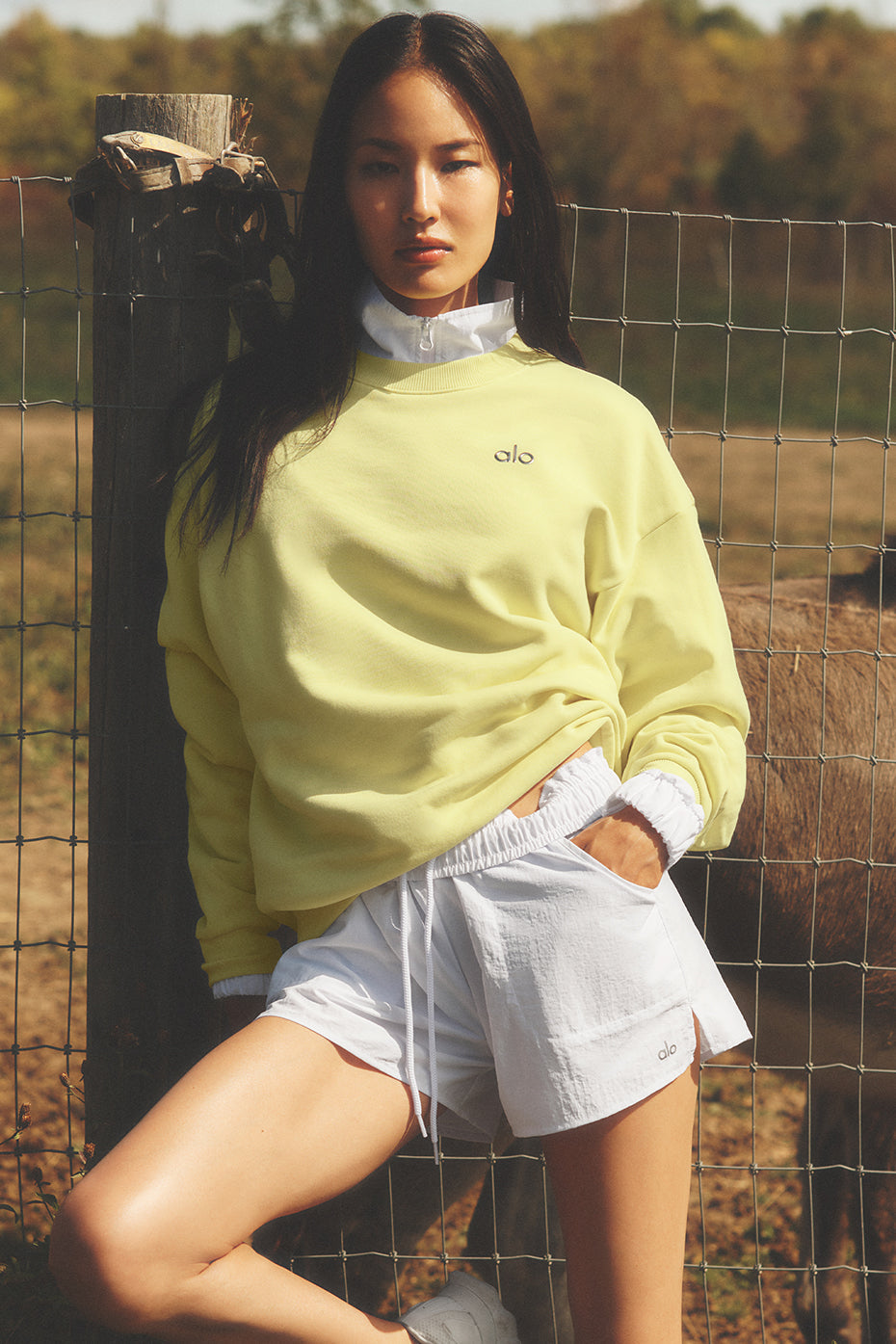 Alo Yoga Accolade Crew Neck Pullover - Sunshine