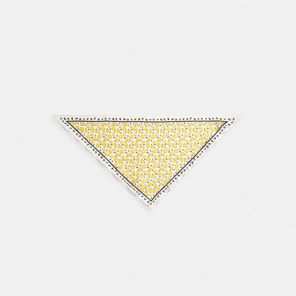 Coach Evelyn Floral Print Silk Triangle Scarf Yellow Chalk