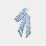 Coach Signature Silk Skinny Scarf Niagara Mist