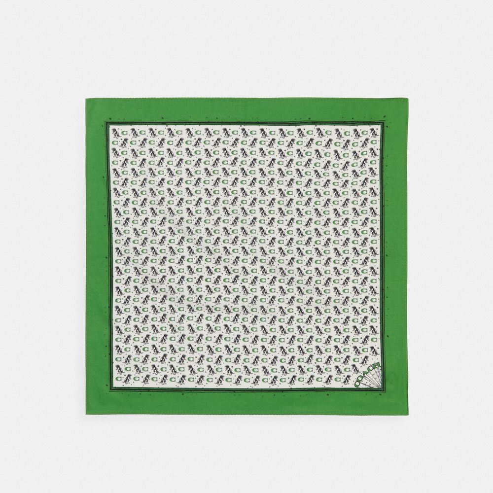 Coach Dino Print Bandana Green
