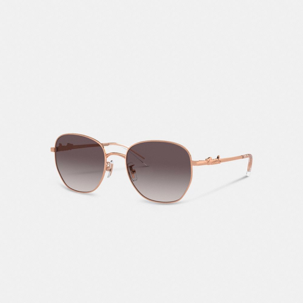 Coach Coach Script Round Sunglasses Rose Gold Black