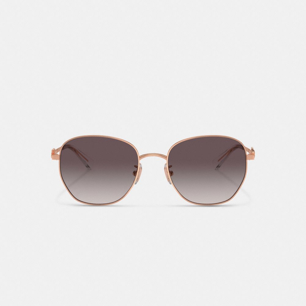Coach Coach Script Round Sunglasses Rose Gold Black