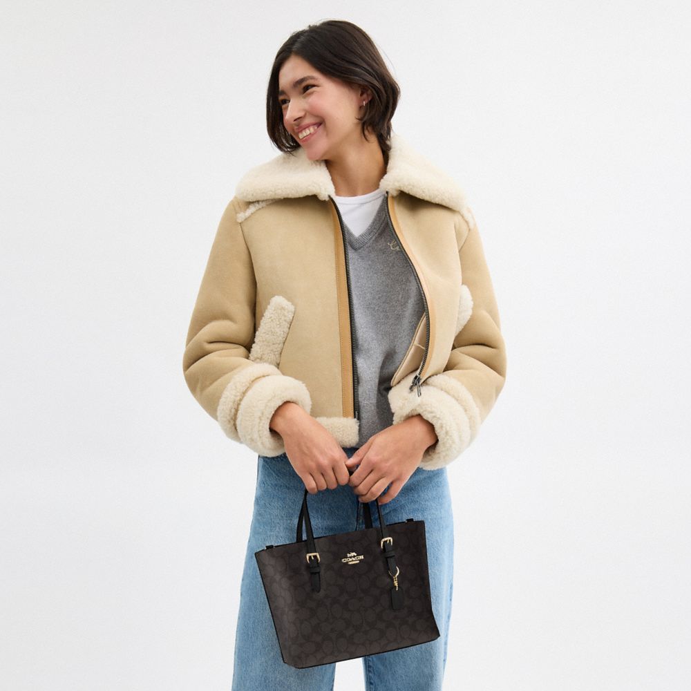 Coach Mollie Tote Bag 25 In Signature Canvas Gold Walnut Black