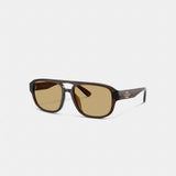 Coach Pilot Sunglasses Transparent Brown