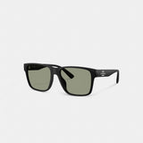 Coach Square Sunglasses Matte Black