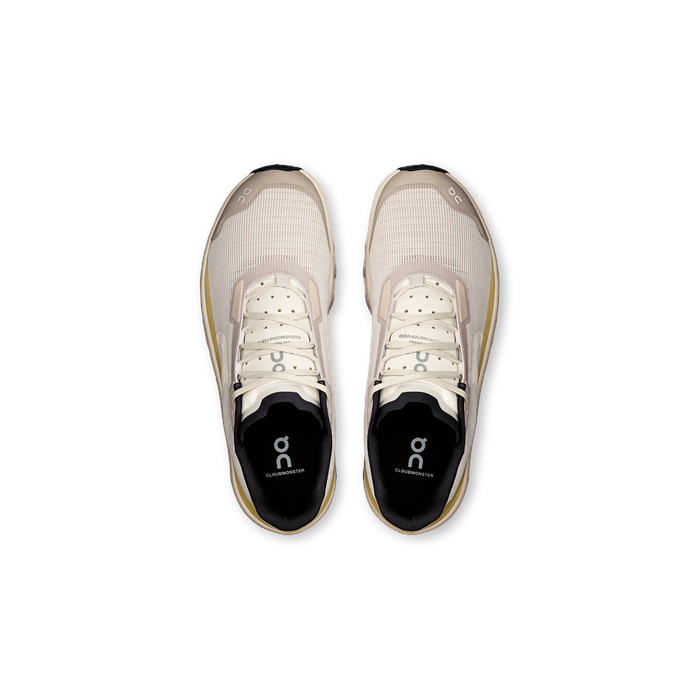 ON Running Men's Cloudmonster Void Silver | Lense