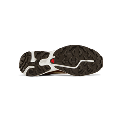END. x XT-6 'Porcini' Salomon Salomon