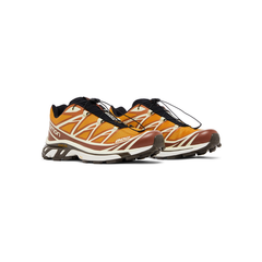 END. x XT-6 'Porcini' Salomon Salomon