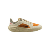 Nike Pegasus 41 GORE-TEX 'Running Poets'