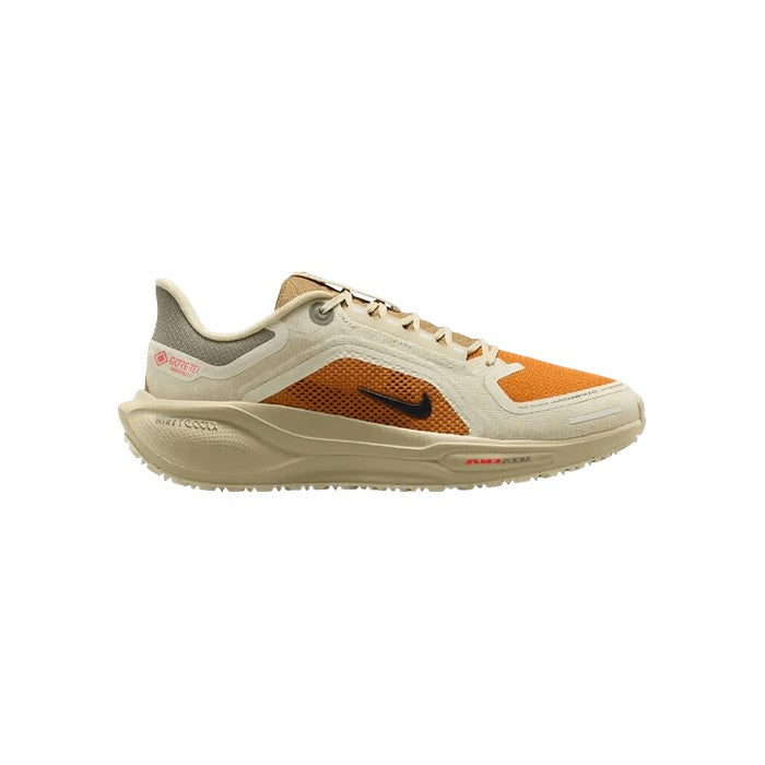 Nike Pegasus 41 GORE-TEX 'Running Poets'