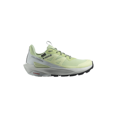 Wmns Elixir Activ GORE-TEX 'Celadon Green' Salomon Salomon
