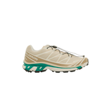 Salomon XT-6 'Rainy Day Chinchilla'