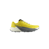 Salomon Pulsar 'Incaberry'