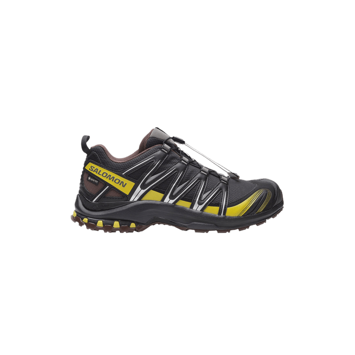 XA Pro 3D GORE-TEX 'Cress Green French Roast' Salomon Salomon