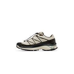 Sneakersnstuff x XT-6 GORE-TEX 'Almond Milk Seagrass' Salomon Salomon