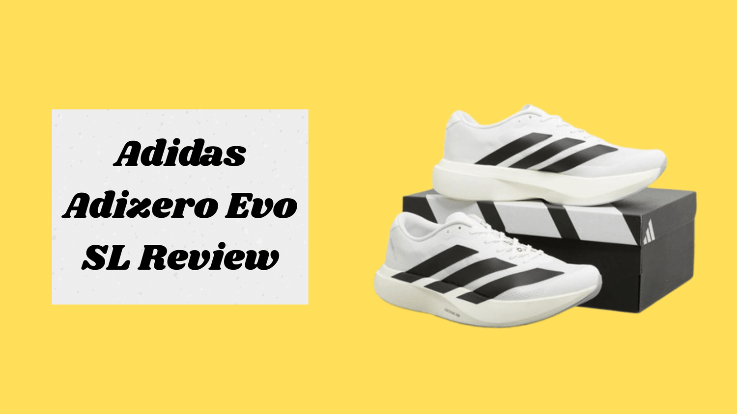 Adidas Adizero Evo SL Review: No One Telling You This