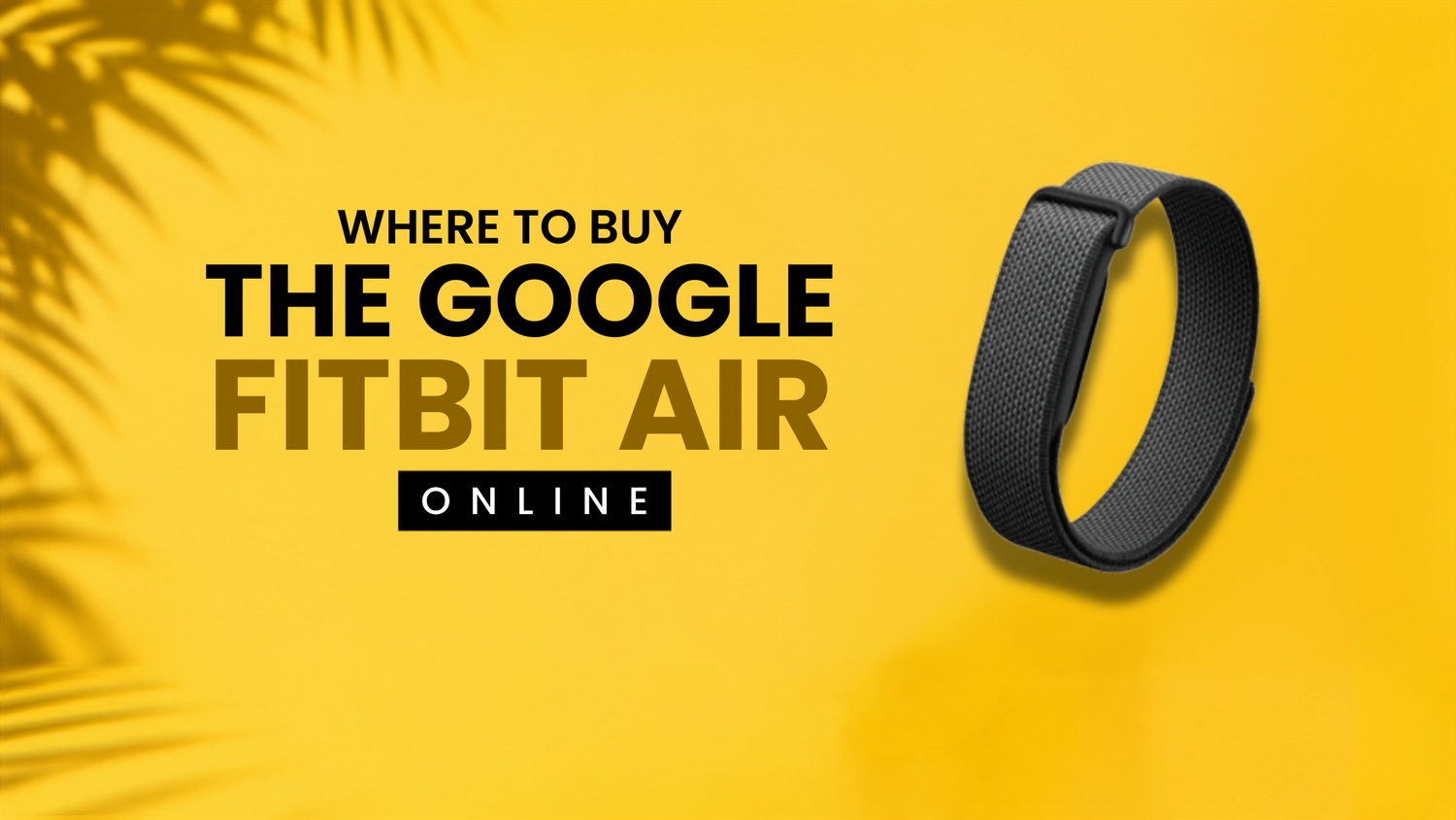 Where to Buy the Google Fitbit Air Online in 2026