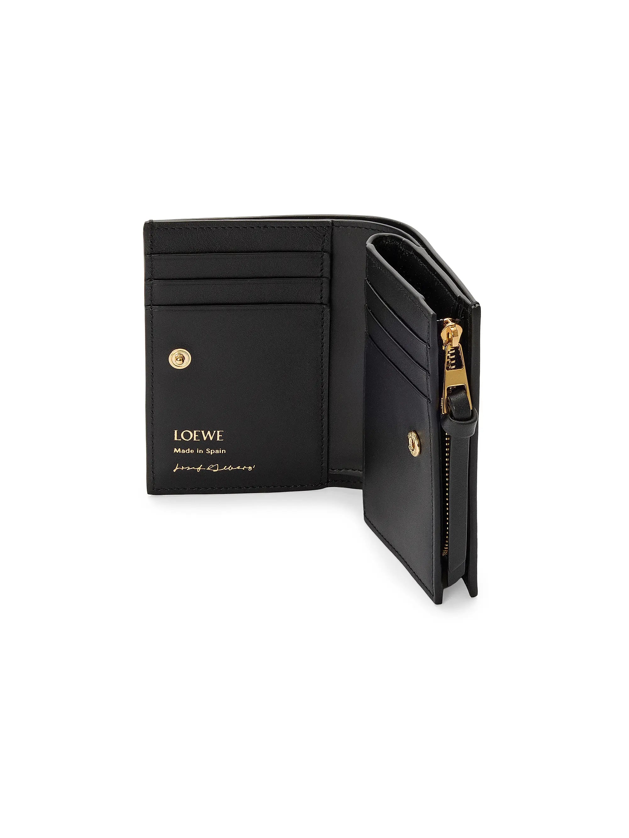 #color_black-burgundy