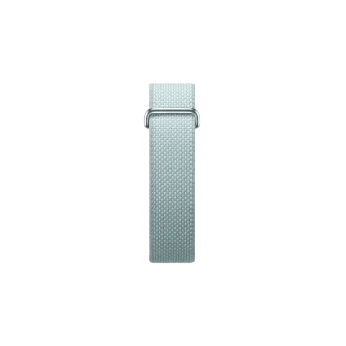 Google Fitbit Air Classic "Fog"