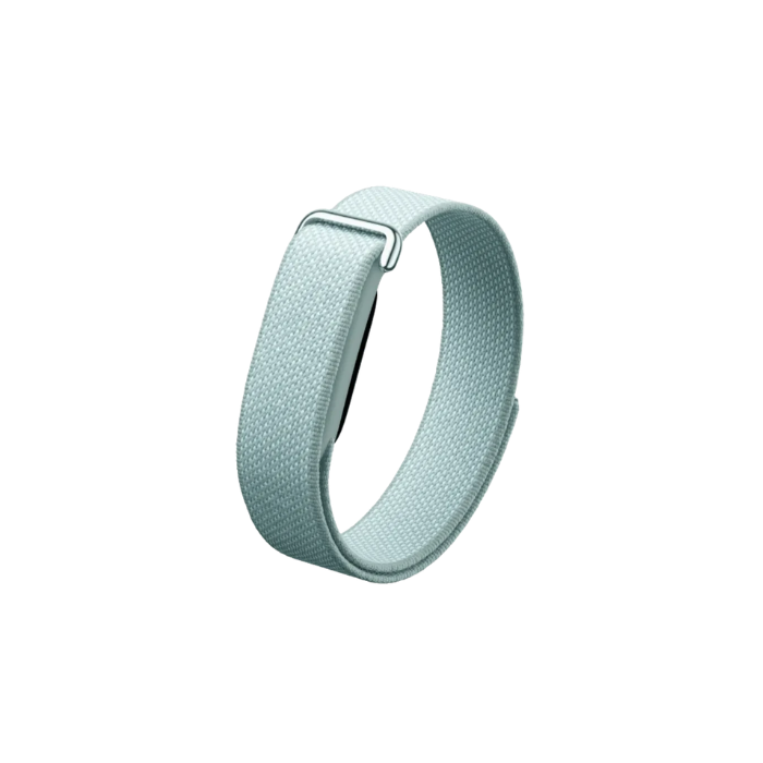 Google Fitbit Air Classic "Fog"