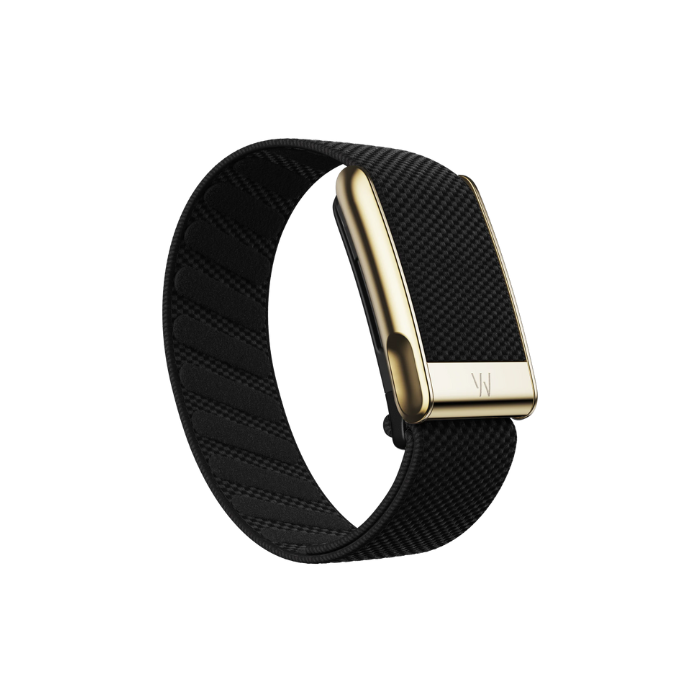 Whoop MG Superknit Luxe Obsidian with Gold Band (Strap Only)