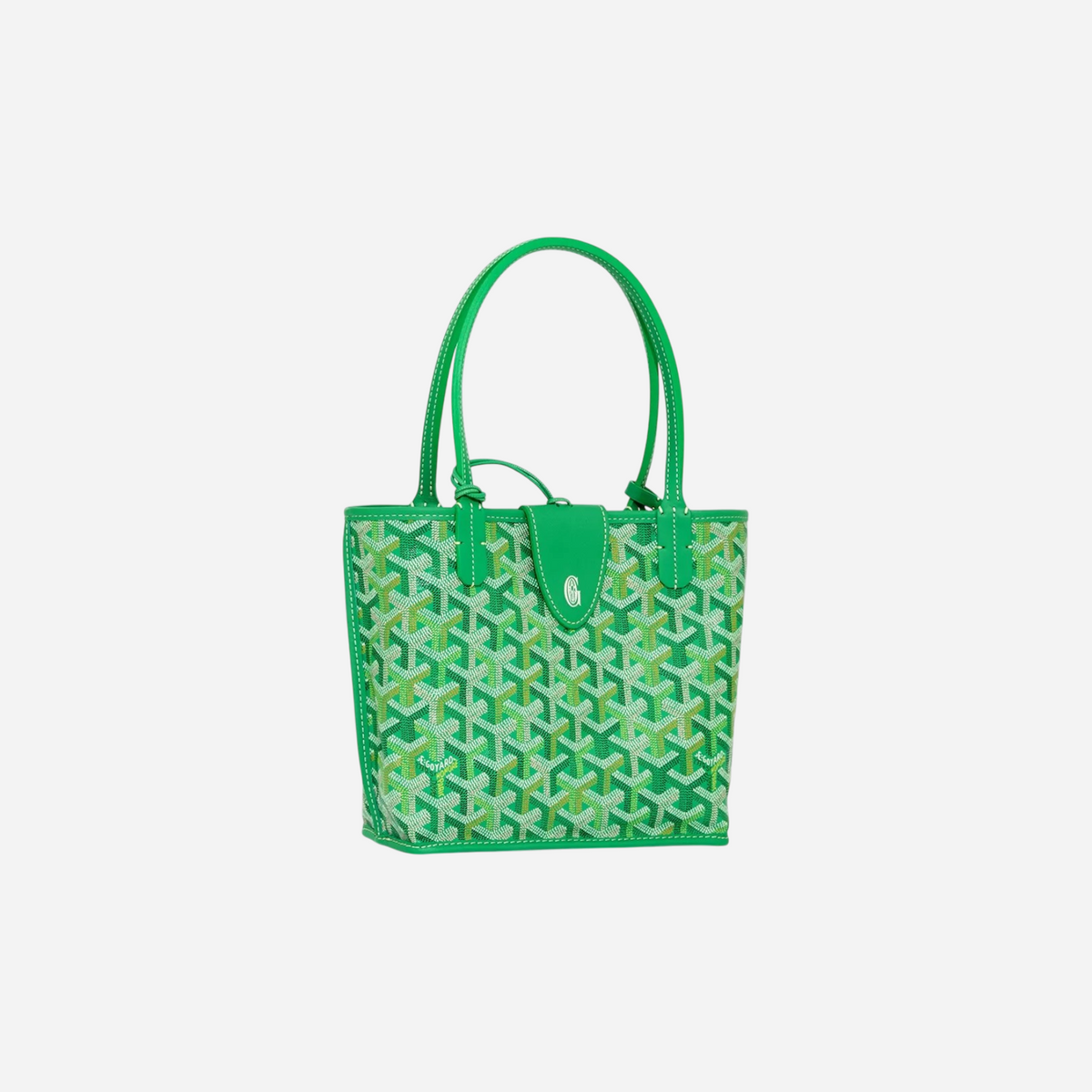Goyard Anjou Mini bag Multicolored Meadow Green