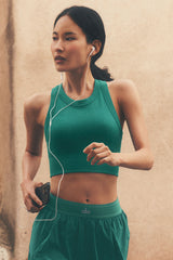 Alo Yoga Seamless Modal Ribbed High Neck Delight Bra - Emerald Isle