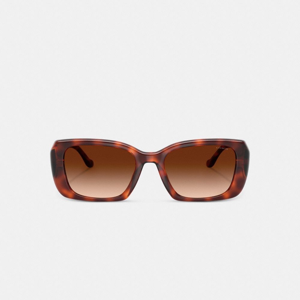 Coach Maxi Sculpted C Oversized Rectangle Sunglasses Caramel Tortoise