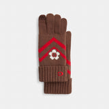 Coach Fair Isle Print Knit Gloves Sable Multi