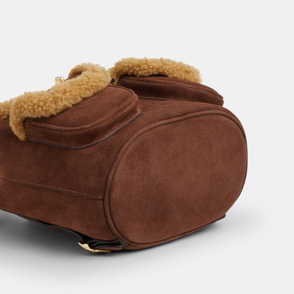 Coach Hadley Backpack Gold Vintage Brown Multi