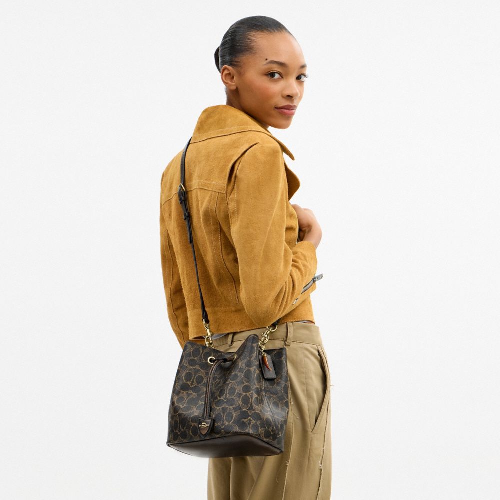 Coach Rowan Bucket Bag In Loved Signature Canvas With Charms Gold Brown