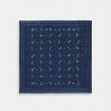 Coach Dino Print Bandana Denim