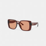 Coach Oversized Square Sunglasses Transparent Caramel