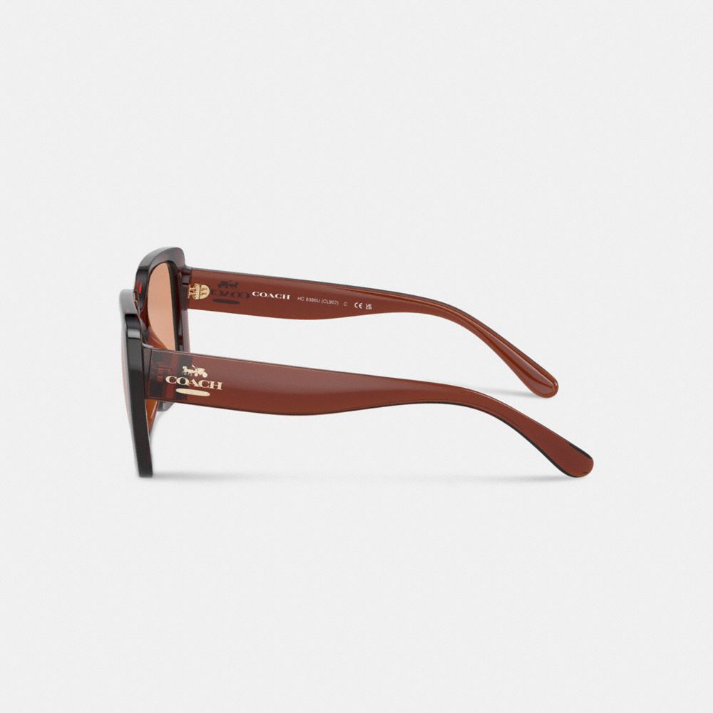 Coach Oversized Square Sunglasses Transparent Caramel