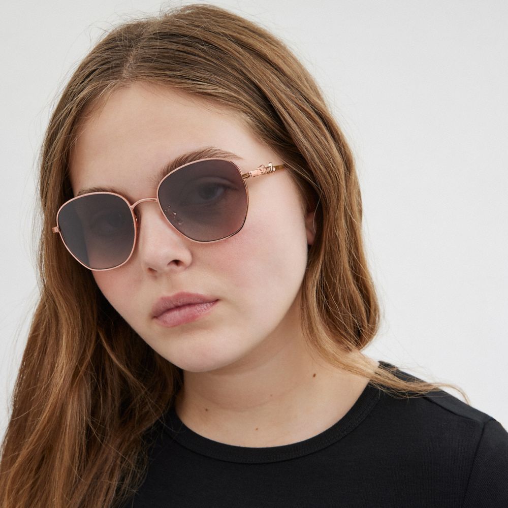 Coach Coach Script Round Sunglasses Rose Gold Black