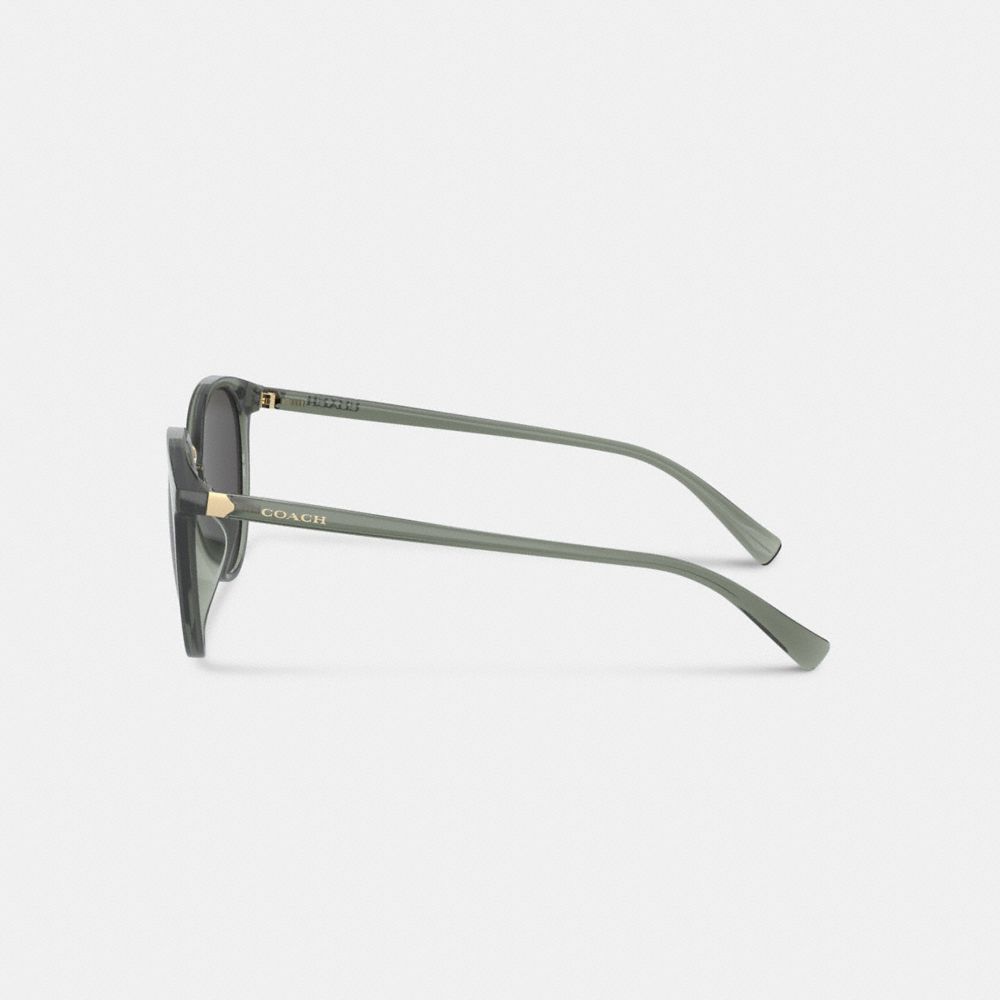 Coach Hangtag Round Sunglasses Transparent Green