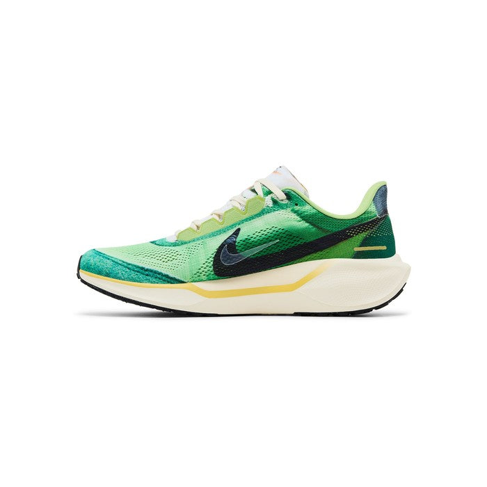 Nike Air Zoom Pegasus 41 'International Running Pack'