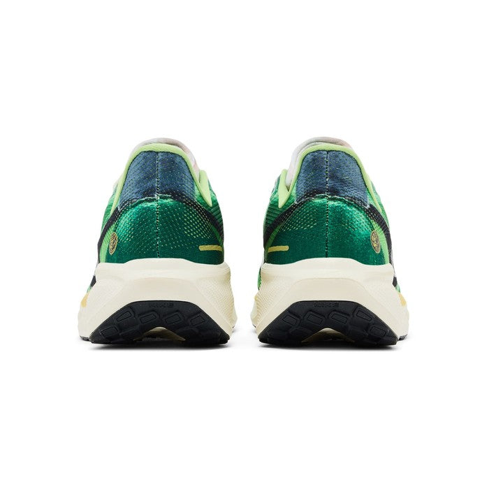 Nike Air Zoom Pegasus 41 'International Running Pack'
