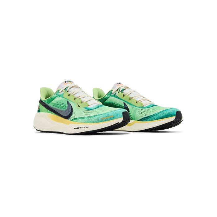 Nike Air Zoom Pegasus 41 'International Running Pack'
