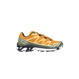 Salomon and wander x XT-6 'Camel'